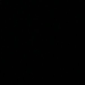 Meet your Posher, Ava